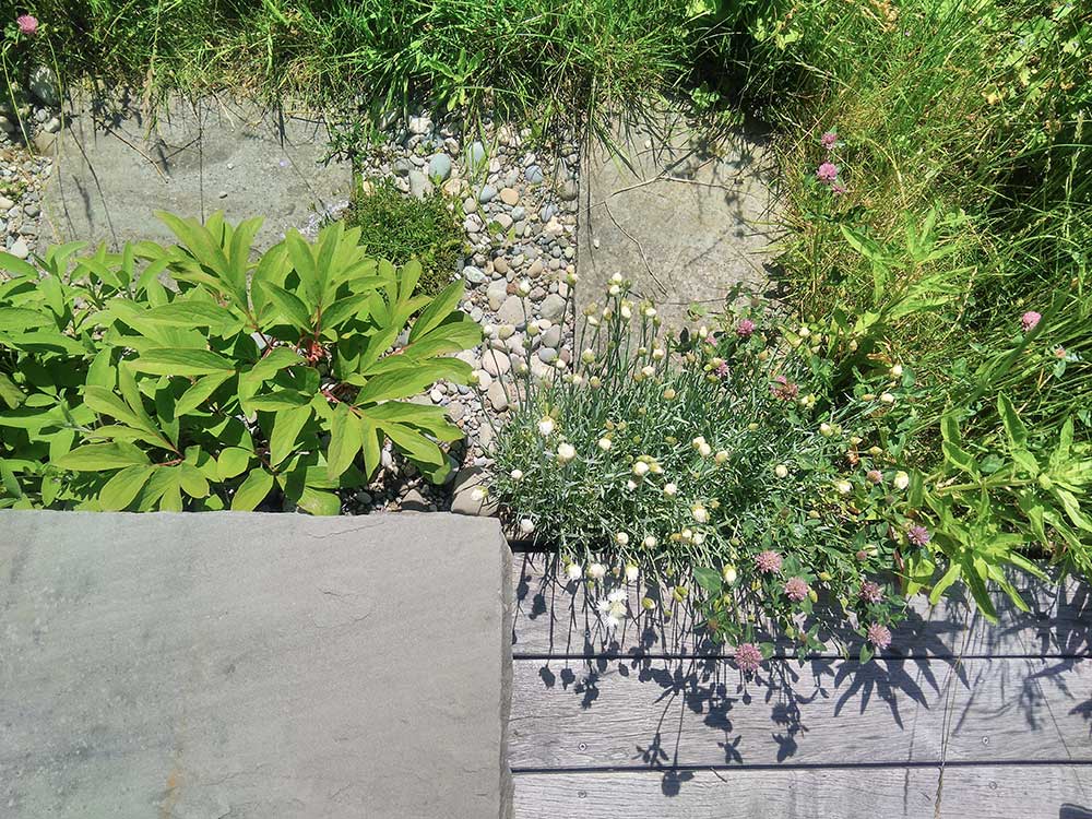 Gartenbau