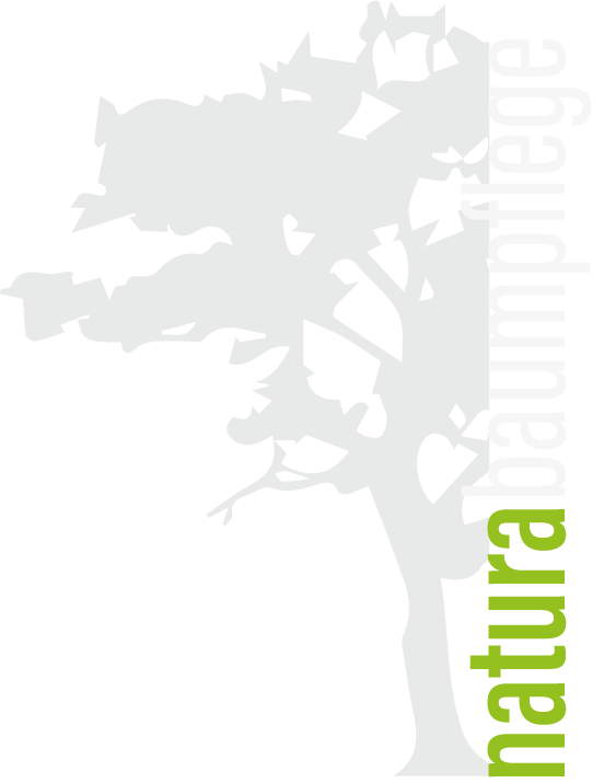 Natura Baumpflege logo